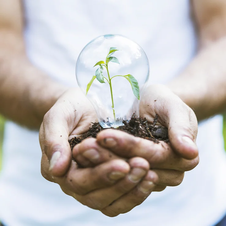 eco lycee la compassion marmande