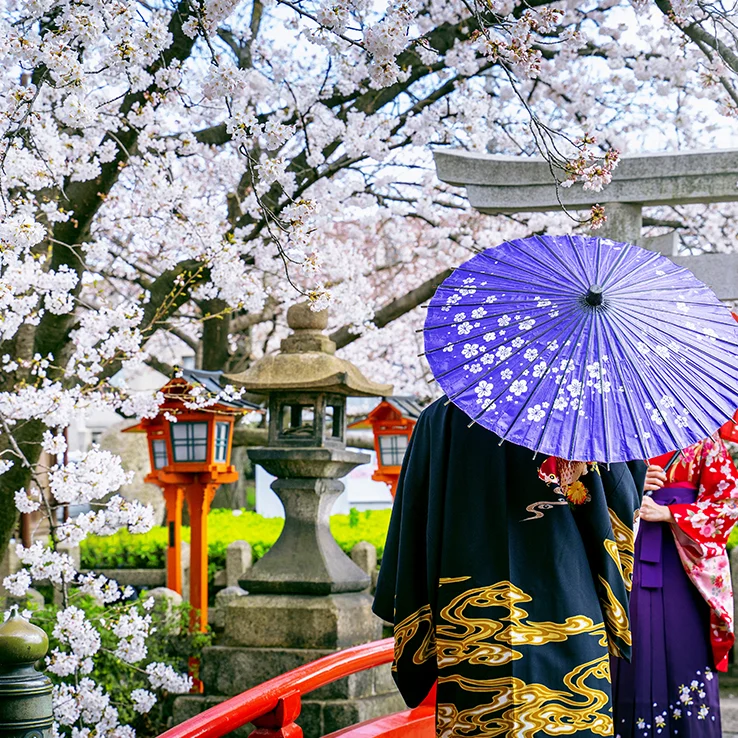 option mathématiques expertes lycee la compassion marmande